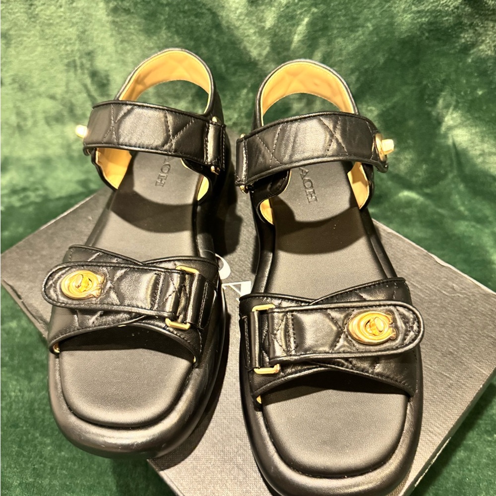 COACH Women's Peyton Double Buckle Flatform Sandals